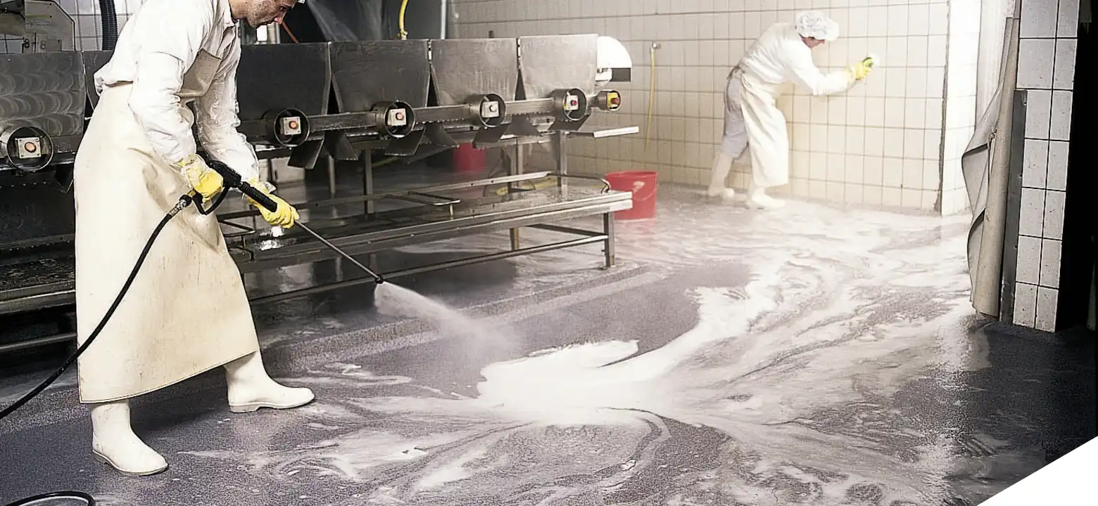Premiere MMA Coating Systems: picture 7