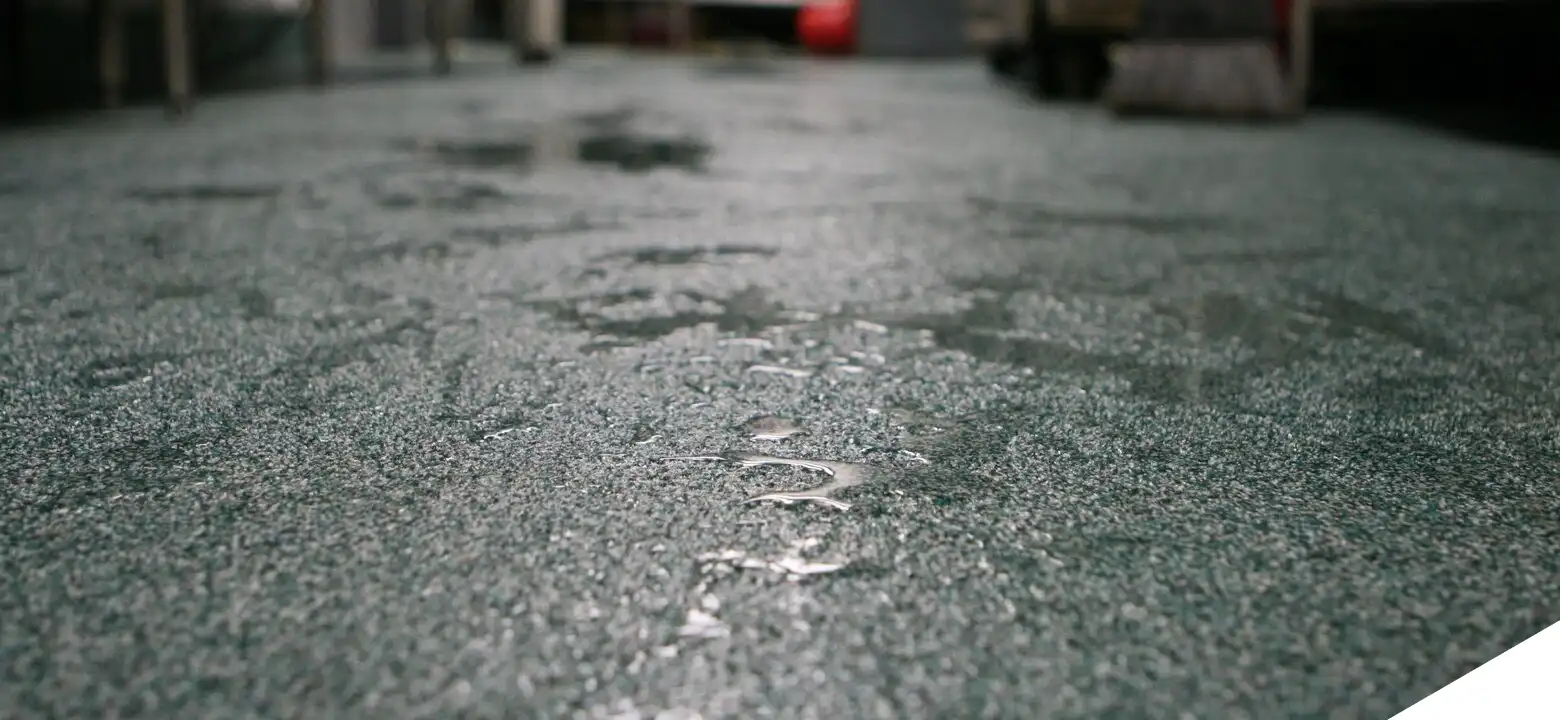 Premiere MMA Coating Systems: picture 8